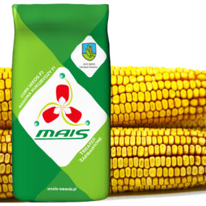 DMS TREND FAO 280/290 (SAAT/SILAGE) 80 Tausend Samen