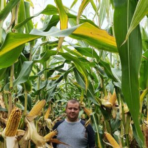 Alternative view of TARGET FAO 280/300 80 tyś nasion