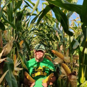 Alternative view of EURO (YEVRO) FAO 260 (SILAGE) 80K seeds