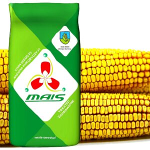 DMS 3477 FAO 260 80 tyś nasion