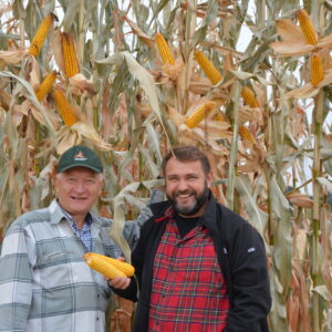 Alternative view of SEKTOR FAO 280-320 (KISZONKA / ZIARNO) 80 TYŚ NASION